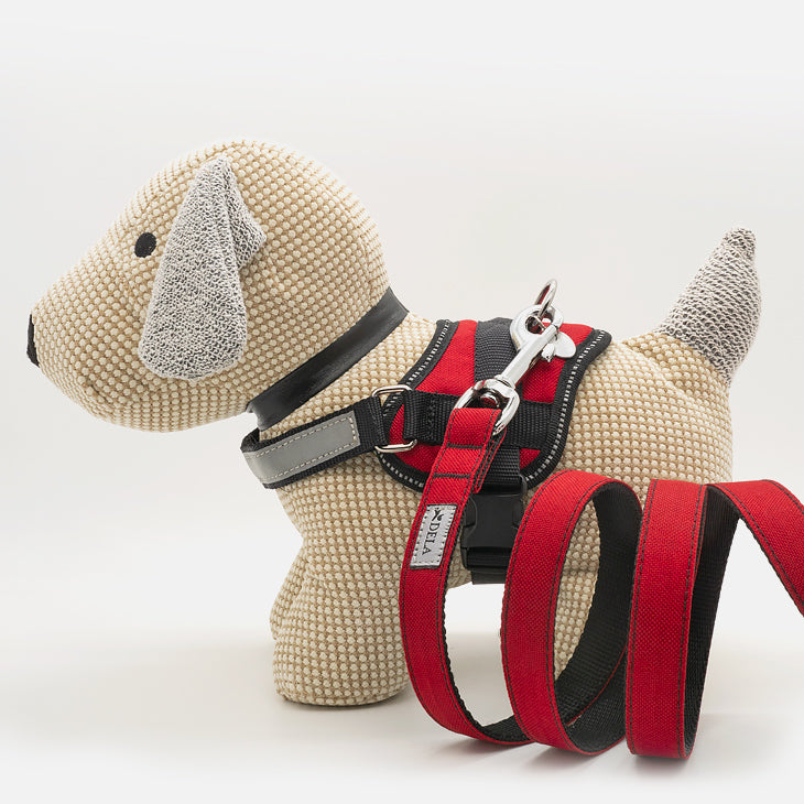 Pettorina Norvegese SCARLET