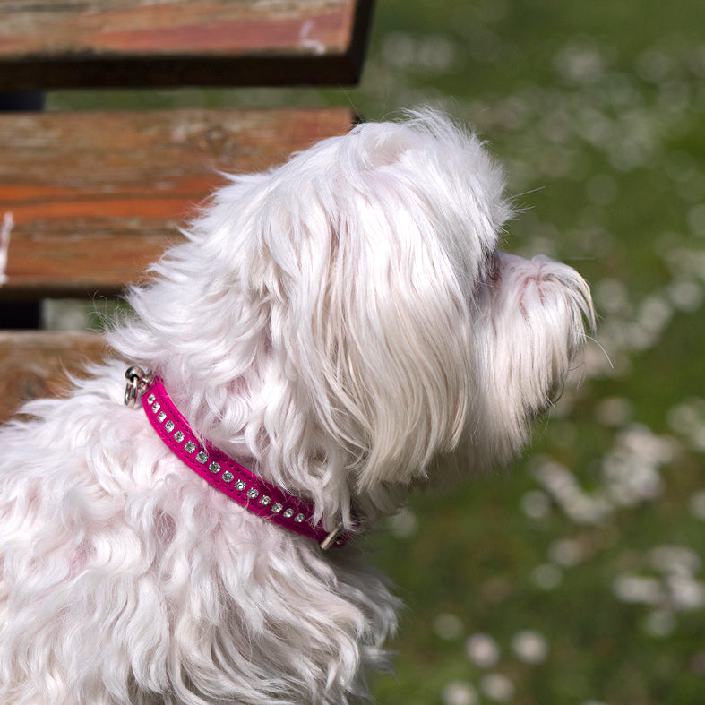 Collare in Pelle Fucsia STRASS