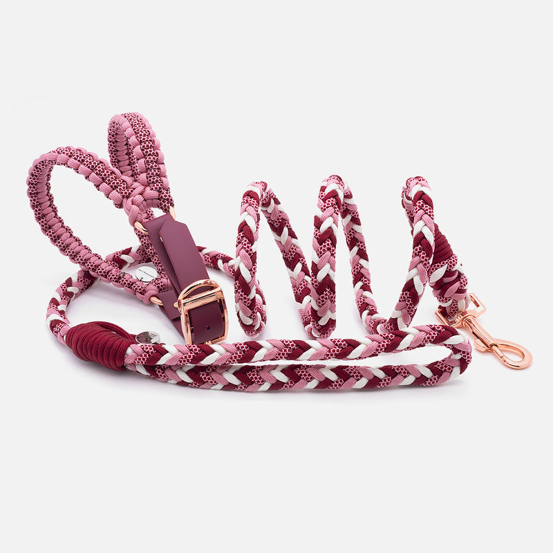 Guinzaglio in Paracord PROCIDA 8 Fili