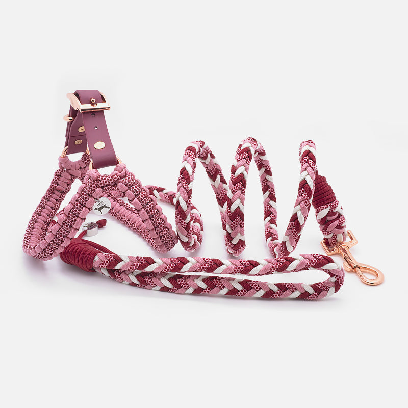 Guinzaglio in Paracord PROCIDA 8 Fili