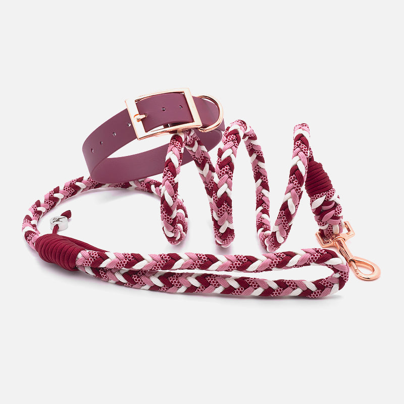 Guinzaglio in Paracord PROCIDA 8 Fili