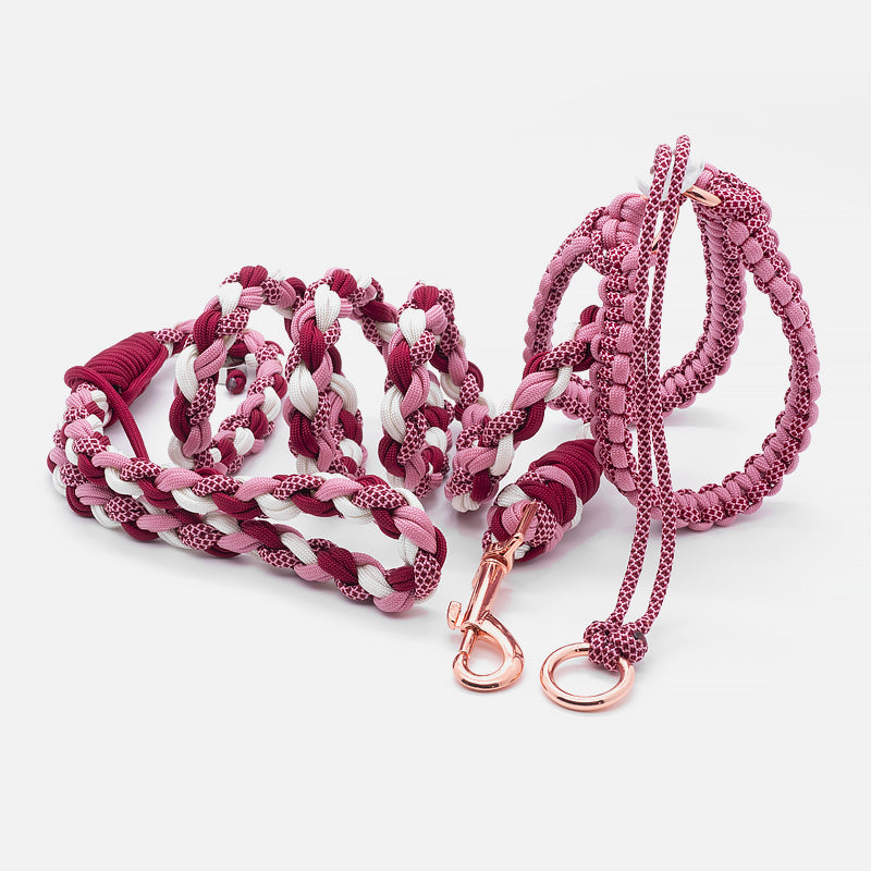 Pettorina in Paracord PROCIDA Taglia XS