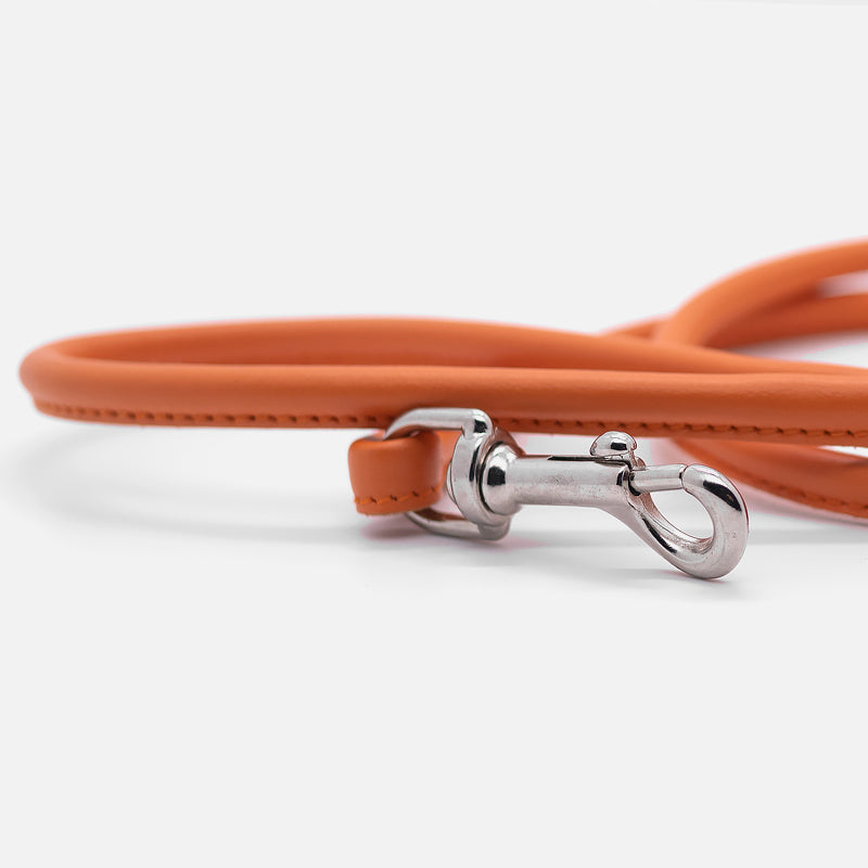 Guinzaglio Tubolare in Pelle ARANCIO