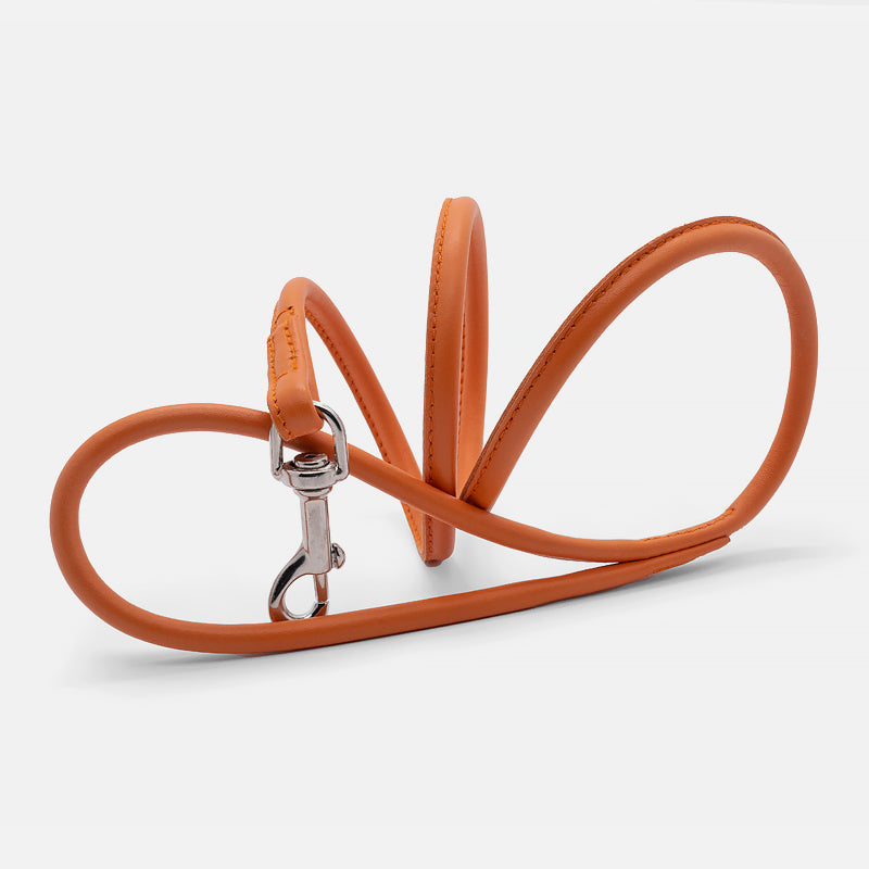 Guinzaglio Tubolare in Pelle ARANCIO