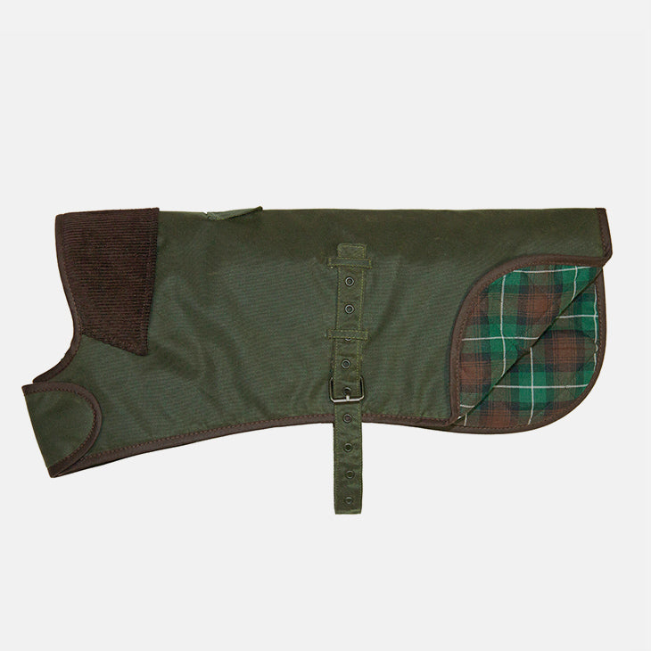 CAPPOTTINO CERATO VERDE